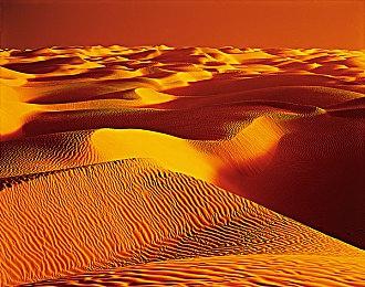 CDPR直播24日晚间举行 《往日之影》实机演示公布