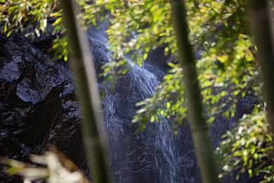 《街霸6》卢克用法介绍影片 6月2日发售