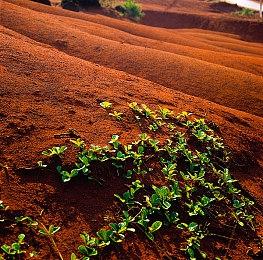 外媒评2022全美游戏行业最佳工作地点 EA三家工作室获奖