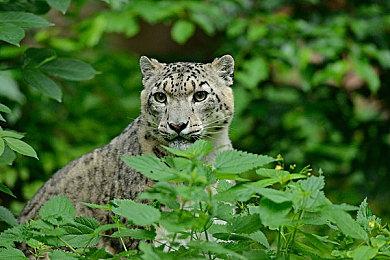 找茬游戏也有“3A”？《3D找茬2》定档11月6日！